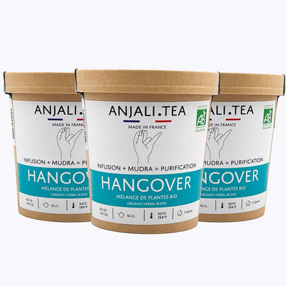 Routine Migraine 21 jours - 3 pots Hangover