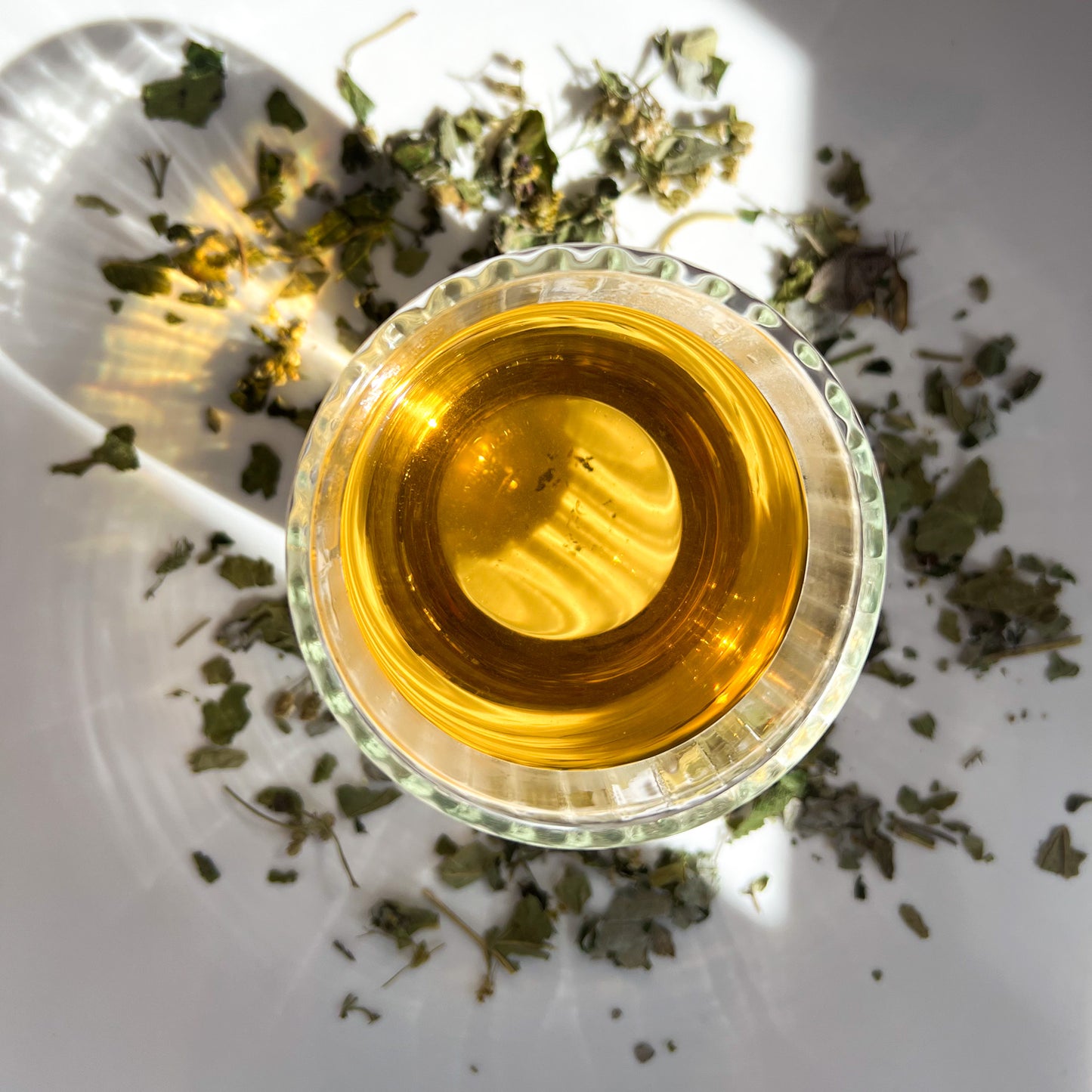 Red Moon - Pot Recyclable