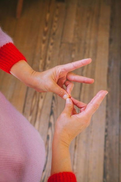 Red Moon - Pot Recyclable